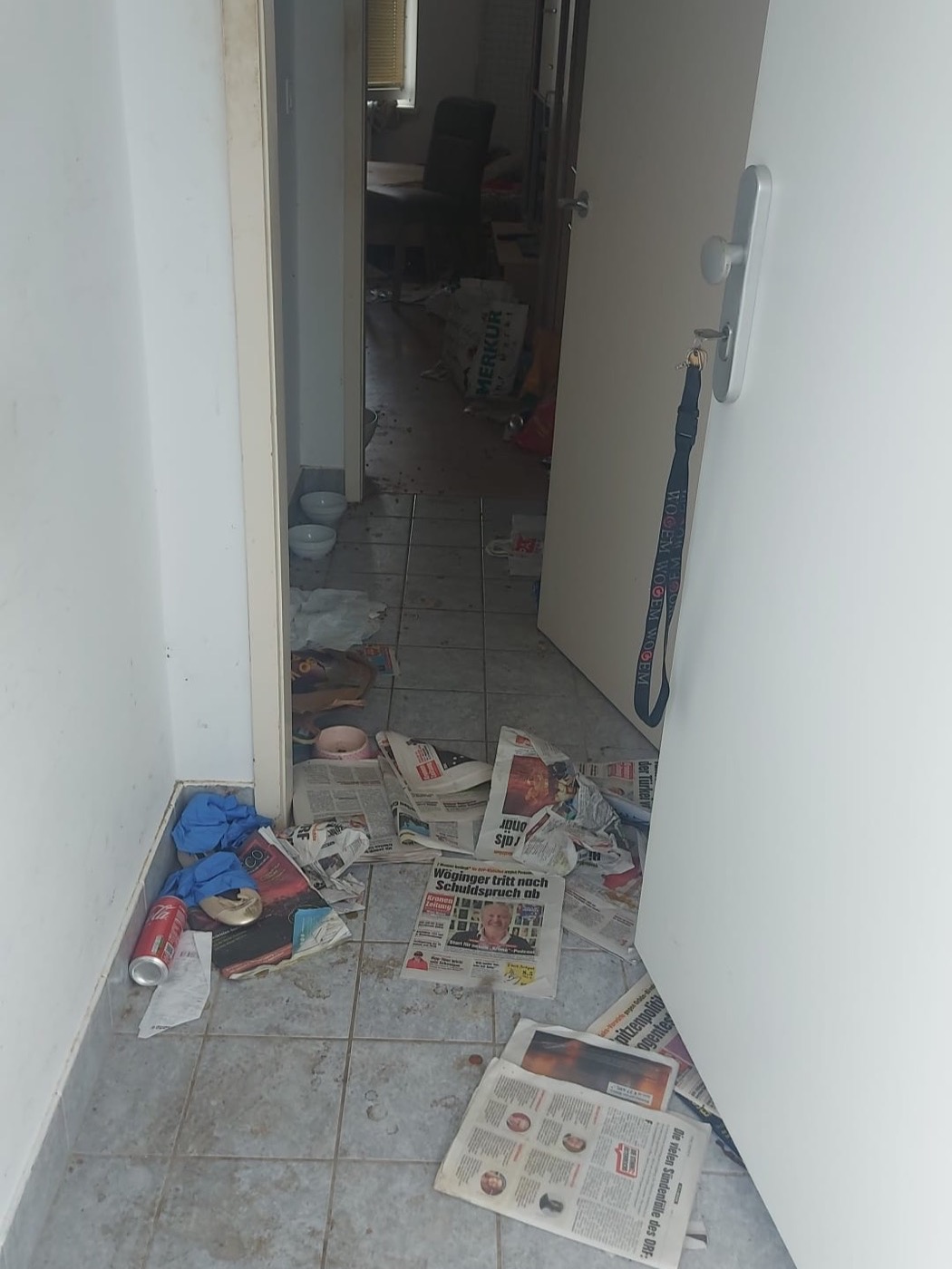 Wohnungsflur nach Animal Hoarding – Zeitungen, Näpfe und Kot auf den Fliesen