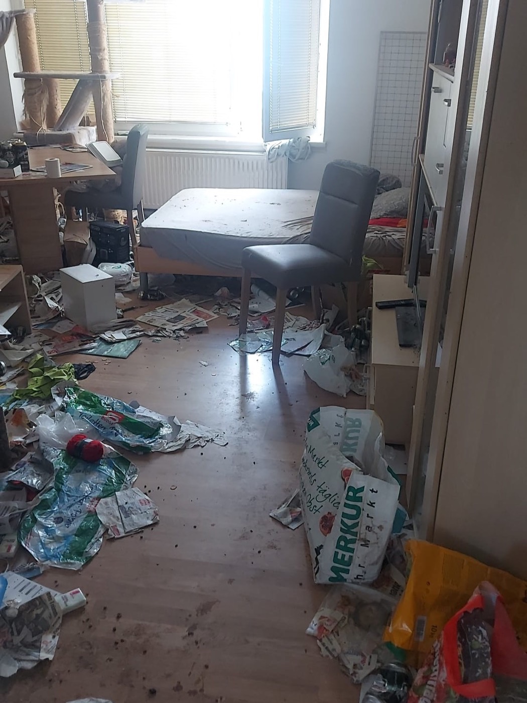 Zimmer mit Kratzbaum, Futterresten und verschmutztem Boden vor der Sanierung