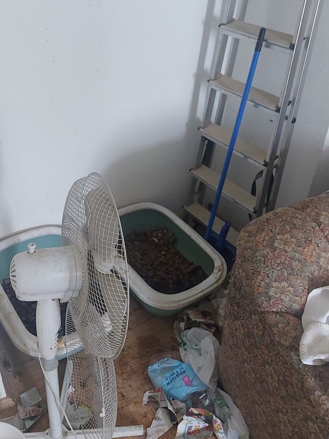 Überfüllte Katzentoiletten und verunreinigter Boden in einer Animal-Hoarding-Wohnung