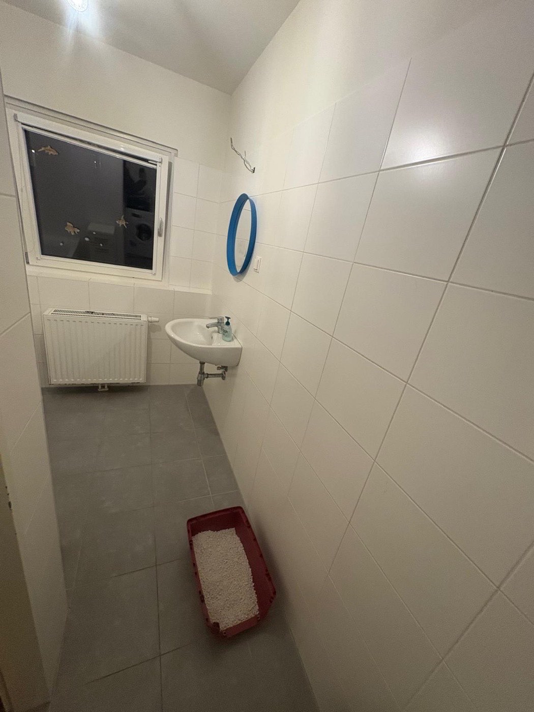 Dasselbe WC nach Räumung und Reinigung