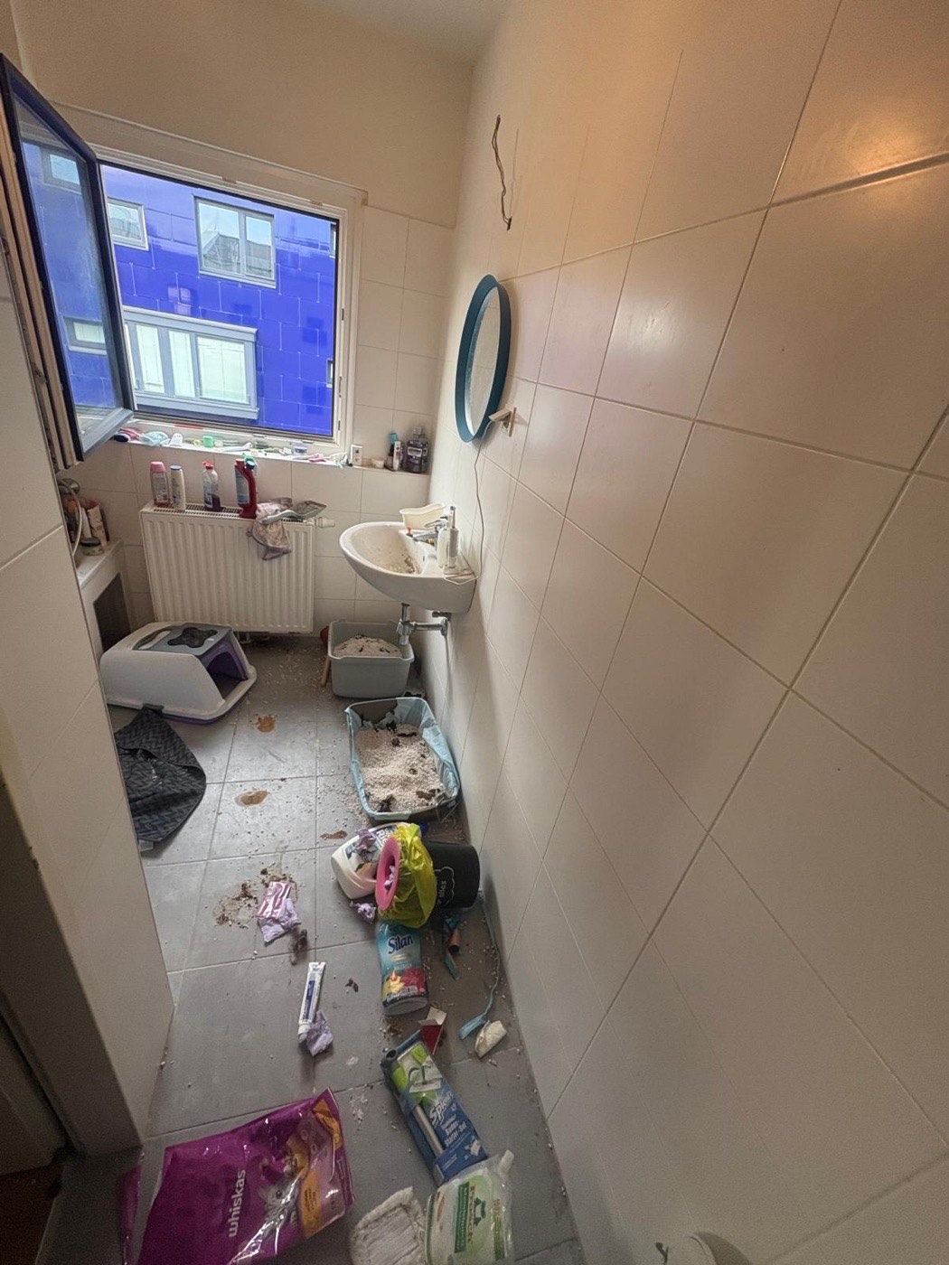 Vermülltes WC mit Katzenklo vor der Räumung