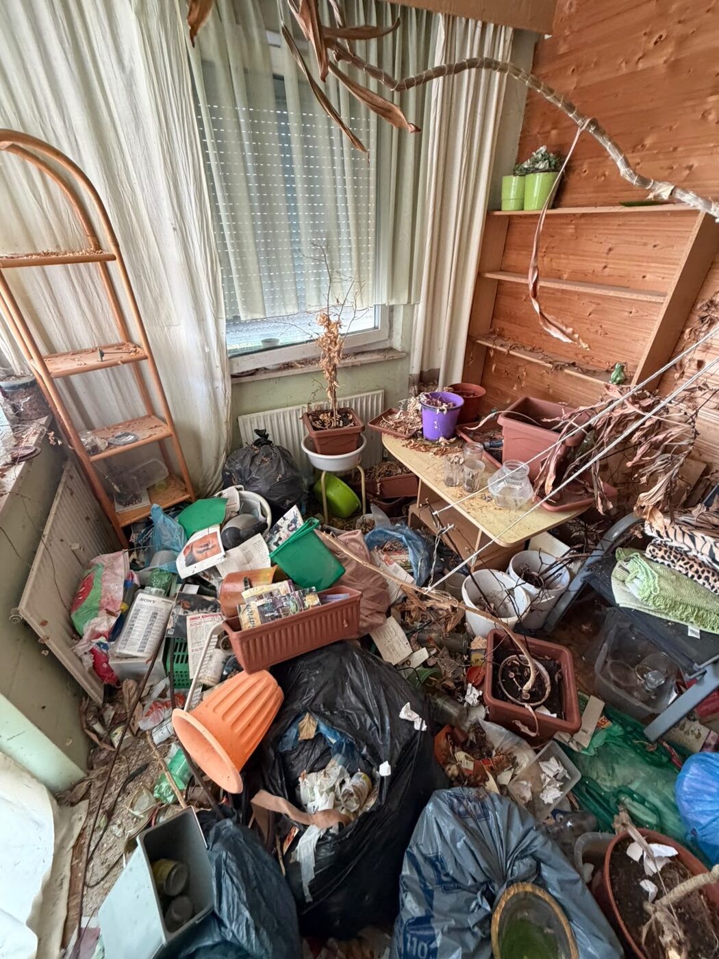 Vermülltes Wohnzimmer mit Pflanzen und Unrat vor dem Einsatz